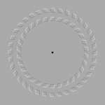 (c) cc-by | Fibonacci, Wikimedia Commons